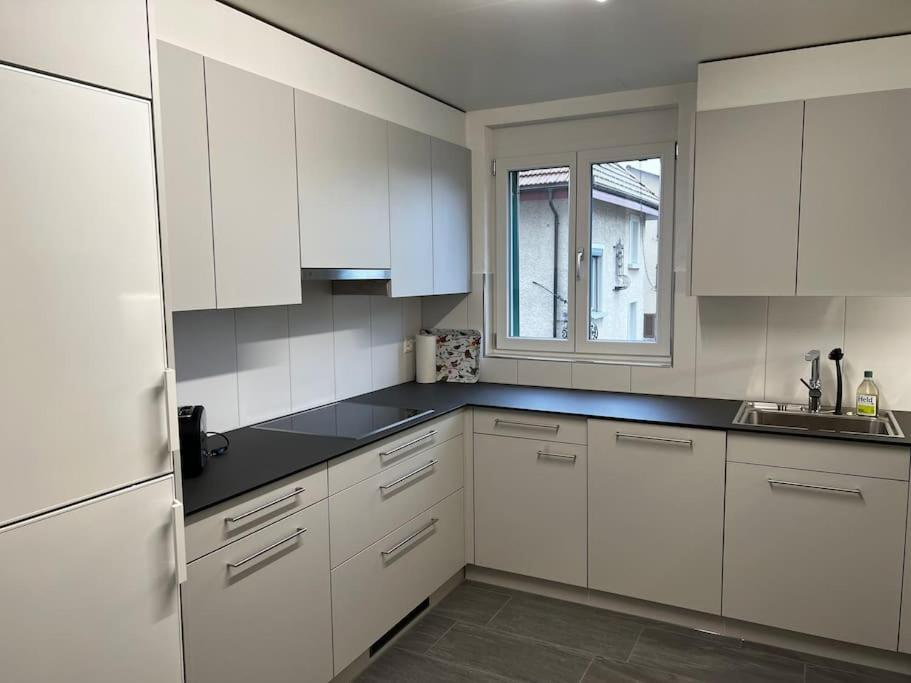 Charmante Und Zentrale Wohnung Am Weiherpark Arbon Eksteriør billede